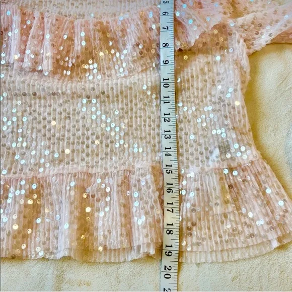 Zara Petal Pink Sequin Ruffle Blouse Medium Party Date Holidays - Picture 7 of 8